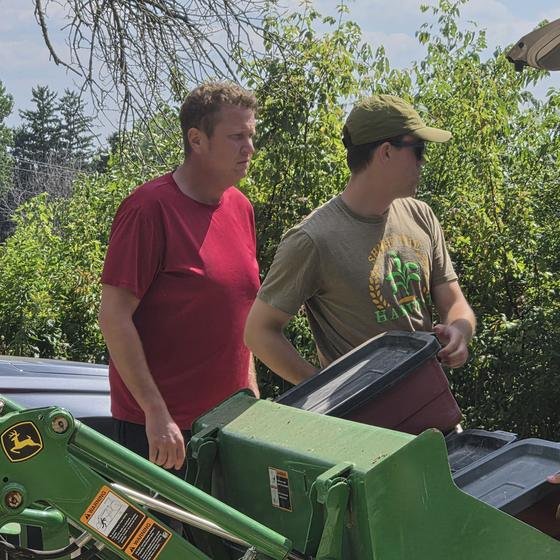 Two helpers unloading bins of collected ingredients into a tractor bucket