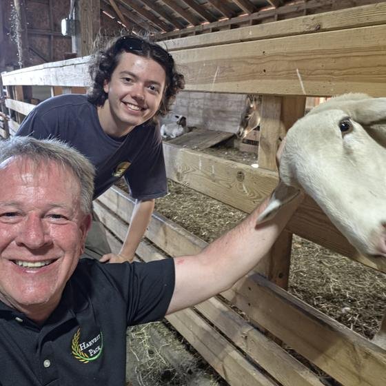 Two Harvest Pack team members taking a selfie with a friendly sheep